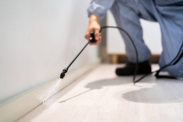 Professional exterminator conducting IPM assessment in Lakeland